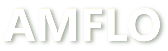 AMFLO 2005